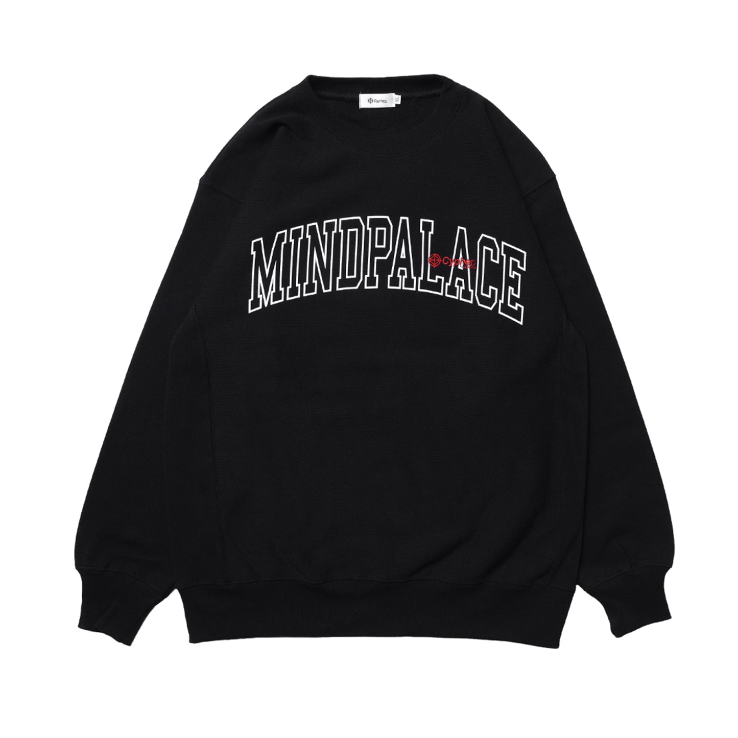 MIND PALACE COLLEGE CREWNECK SWEAT