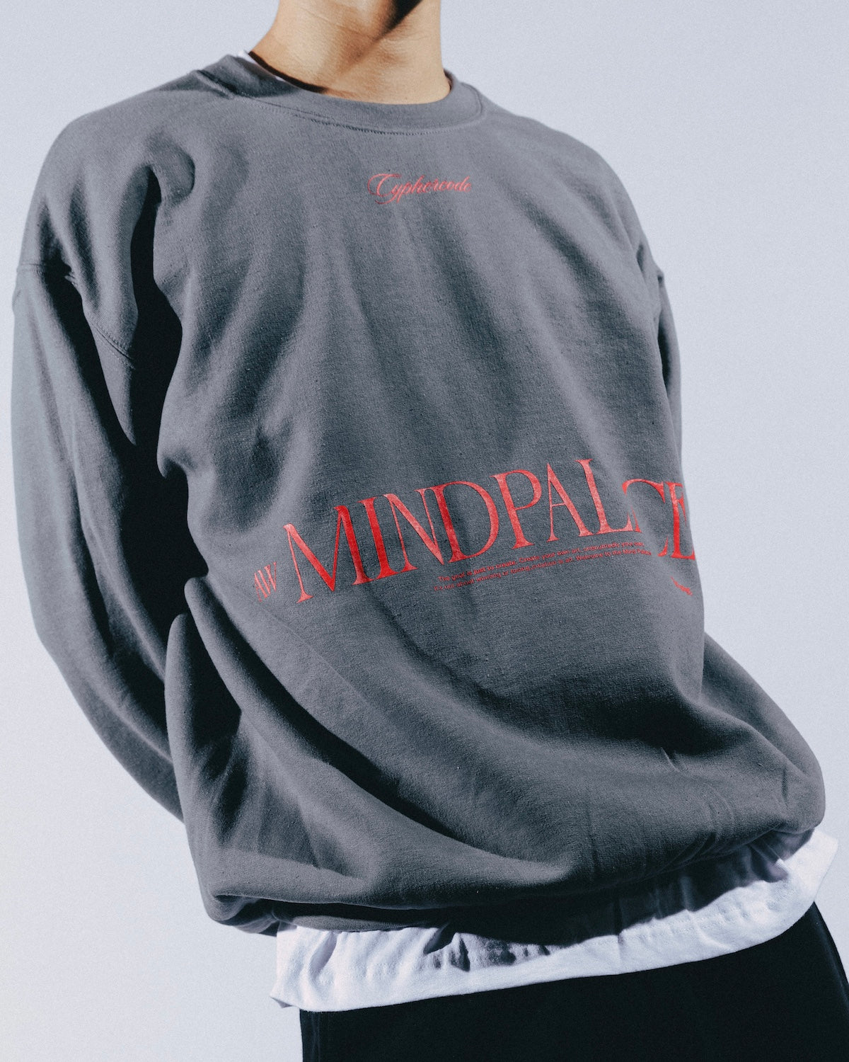 MIND PALACE CREWNECK SWEAT