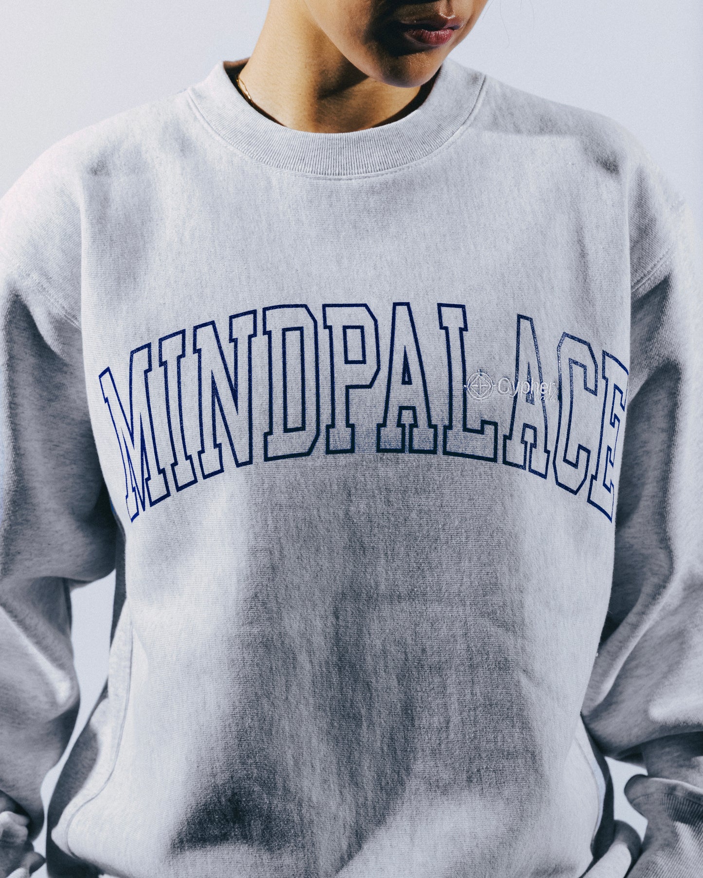 MIND PALACE COLLEGE CREWNECK SWEAT